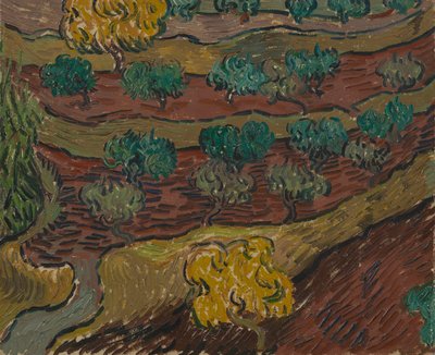 Olivos en una ladera de Vincent van Gogh
